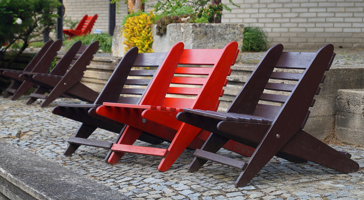 Duis aliquam ex enim, eget tincidunt diam rhoncus